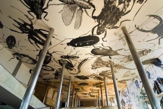 Mundus Admirabilis, Regina Silveira, 2007. Instalação Site Specific no MAP