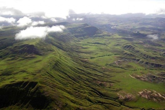Primeiras ravinas na região do Monte Roraima. No vale, as linhas verdes mais escuras marcam o início de veredas de buritis ao longo dos córregos
