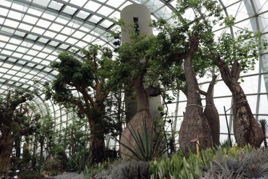 Flower Dome, vista do Jardim dos Baobás, Singapura