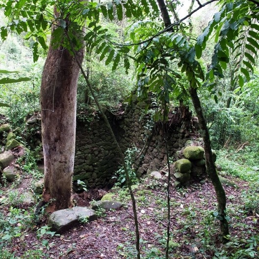 Panorama geral do local em que estão as ruínas do Sítio do Morro