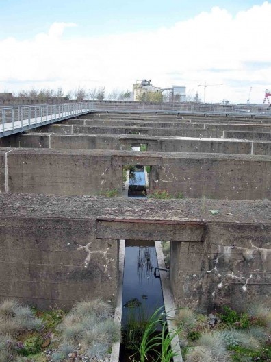 O espelho de água, a espinha dorsal do Jardim dos Sedum