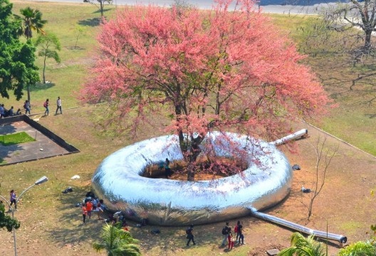 Toro circular inflado