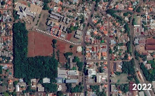 Situação das palmeiras localizadas ao norte da região de estudo em 2011, 2012, 2014 e 2022