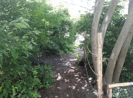 Teardrop Park, trilhas em meio a vegetação, Nova York, 2018