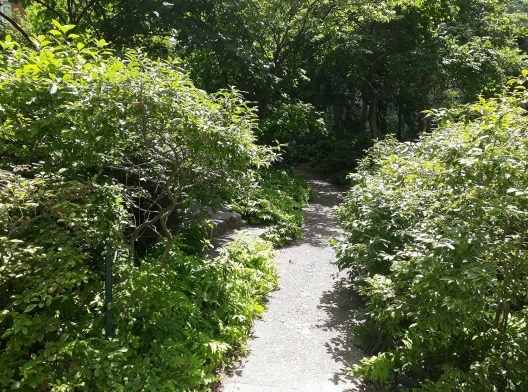 Teardrop Park, presença de pequenos animais, Nova York, 2018