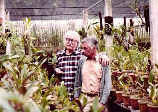 Roberto Burle Marx e Clemente Gomes no viveiro de orquídeas do antigo Sítio Santo Antônio da Bica, em Barra de Guaratiba, Rio de Janeiro RJ, década de 1970