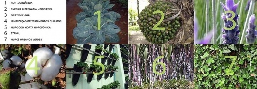 Praça Victor Civita - Museu Aberto da Sustentabilidade, especificação de plantas, São Paulo. Levisky Arquitetos Associados, 2008