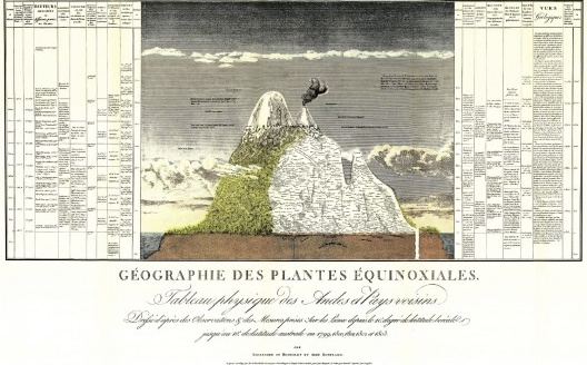 Naturgemälde, desenhado por Humboldt e publicado no seu tratado, Kosmos, 1807