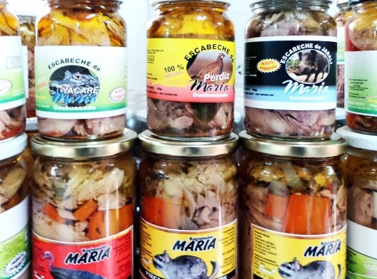 Caminos del Sur: a América da solidão