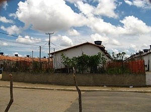 Fig.5: Delimitação dos limites com varas de madeira