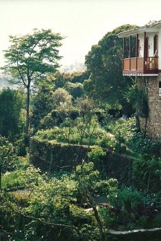 Antigo terraço de cultivo em Ouro Preto. Observa-se na proximidade, a presença da varanda, 2006.