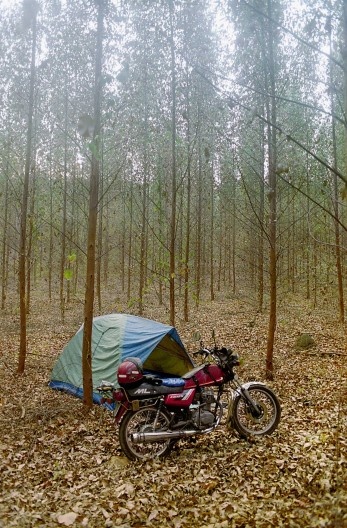 Periquito, Minas Gerais
