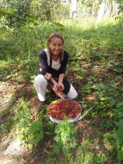 Durante a pandemia Covid-19, professora Carmen seguindo isolamento na área faz o manejo dos produtos da Horta Educativa da Horizonte Azul durante recesso resultante da pandemia do Covid-19