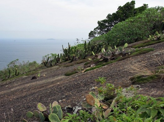Morro do Forte do Pico, Niterói RJ