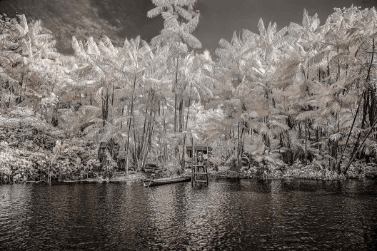 Hiléia, exposição de fotografias na Galeria Rabieh