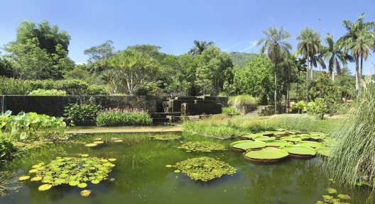 Sede da Fazenda Vargem Grande cercada por jardins de Burle Marx e equipe, sendo os principais no lado posterior do casarão, onde estão os espelhos d’água para plantas aquáticas e de solos encharcados