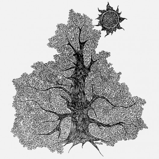 Árvore nas proximidades de onde foi enterrado o herói, desenho do livro Robin Hood, de Monteiro Lobato