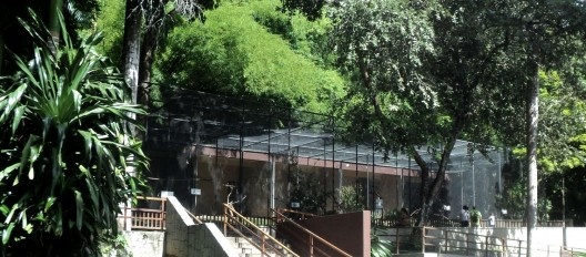 Edifício administrativo do Parque Zoobotânico Arruda Câmara, Recinto dos Falconiformes e Lago das Cinco Fontes