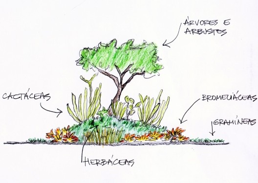 Vila Residencial de Mambucaba, representação esquemática da colonização vegetal típica de uma \"ilha\" de restinga, Paraty RJ. Paisagismo de Eduardo Barra