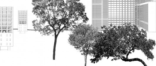 Brasília retomada pelo Cerrado