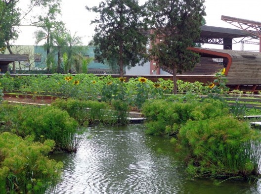 Detalhe da captação de água e canteiros