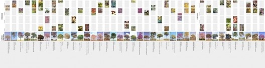 Quadro Arborização