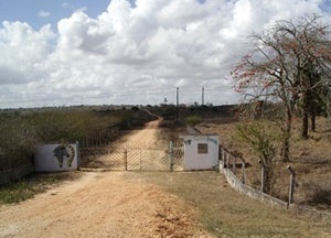 Entrada de Cabo Verde