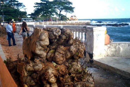Salvador Cidade Perdida