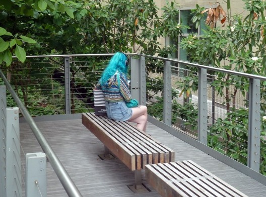 Depois de muito procurar, o detetive novato reencontra a moça de cabelo azul, agora sentada em um recanto protegido com gradil; ela olha a sacola de papel; ele, mais uma vez, não consegue fotografar seu rosto.