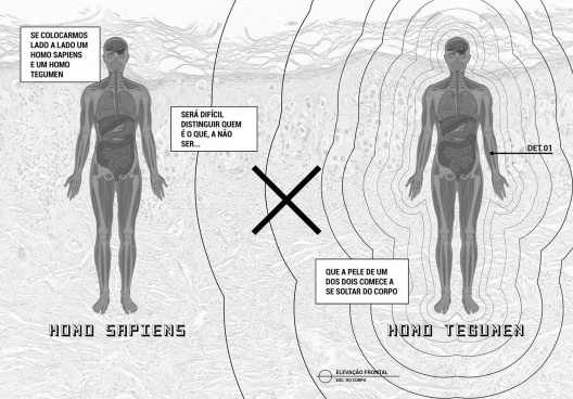 Ilustração da comparação entre os corpos do Homo sapiens e do Homo tegumen