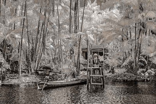 As fotografias amazônicas de Antonio Saggese