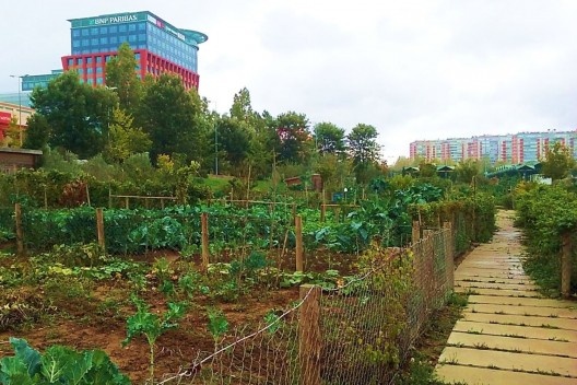 Hortas urbanas e paisagem