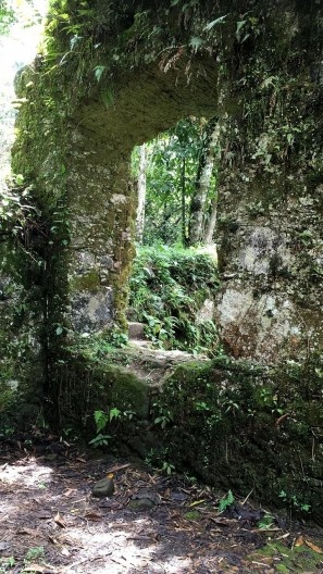 Ruínas do Engenho da Lagoinha, detalhe vão de janela, Ubatuba SP