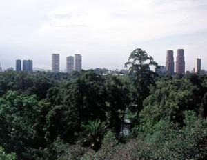 Parque Chapultepec, Cidade do México. Contraponto à massa edificada de uma das maiores metrópoles do mundo