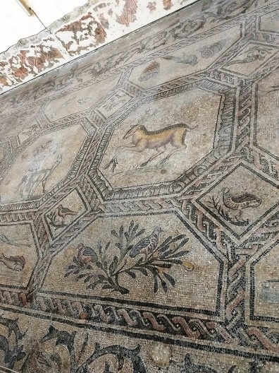 Basilica Patriarcale di Santa Maria Assunta, detalhe do piso, Aquileia, Itália