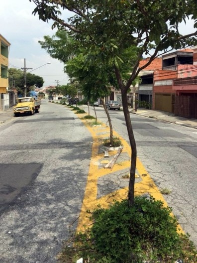Rua Patrocínio Paulista, arborização no asfalto, Cidade Patriarca, São Paulo