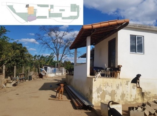 Abrigo de animais em Juiz de Fora