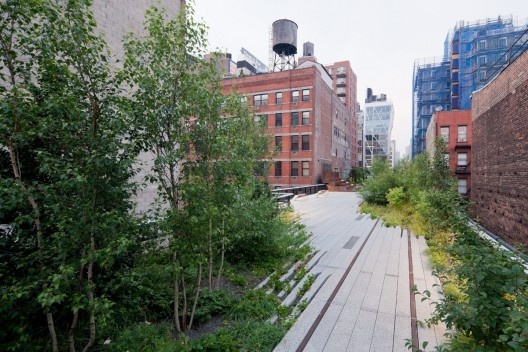 Chelsea Thicket, a densely-planted area of trees and shrubs between West 20th and West 22nd Streets, looking North