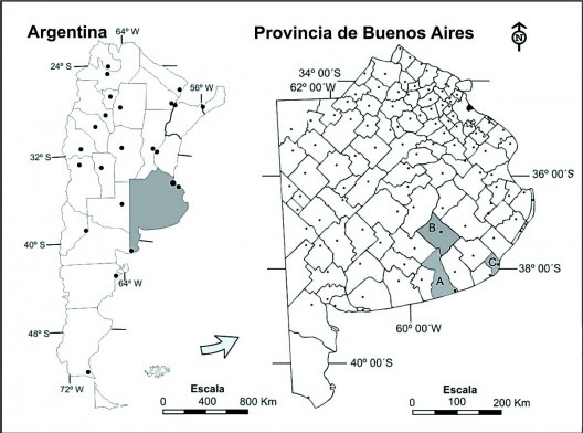 Imagen composición de las autoras