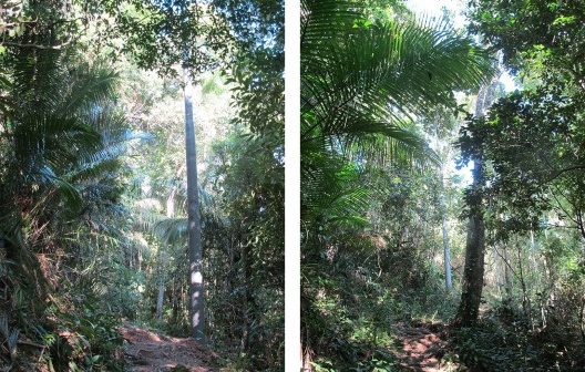 Ponta Negra, Paraty RJ, implantação de energia elétrica