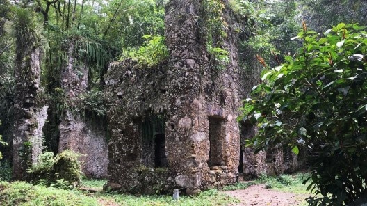 Ruínas do Engenho da Lagoinha, vista do conjunto, Ubatuba SP