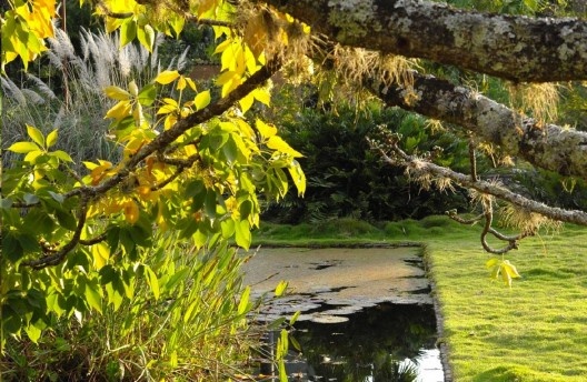 Fazenda Vargem Grande, Serra da Bocaina. Paisagismo de Roberto Burle Marx