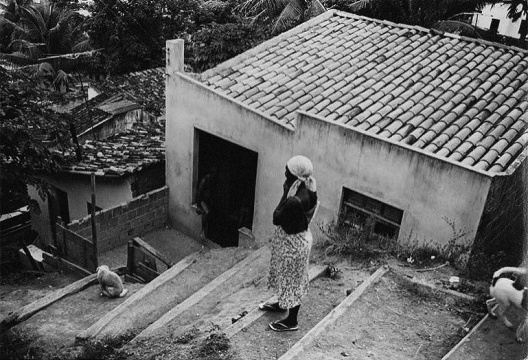 Brongo do Pau Miúdo em Salvador BA