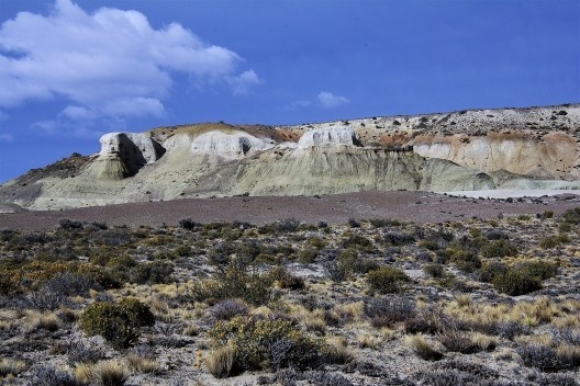 Estepe patagônica. Bosque Petrificado, Sarmiento, Estado de Chubut, Argentina
