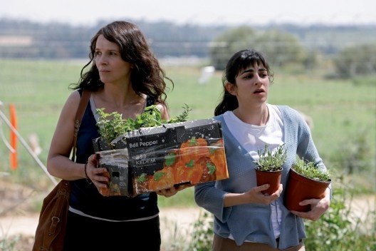 Disengagement, filme de Amos Gitai