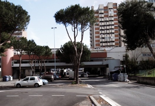 Foto Francesco Orfei