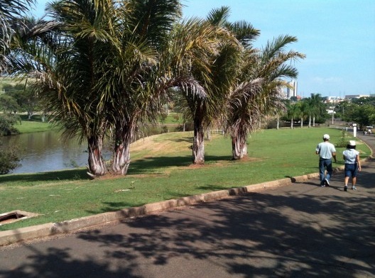 Área do Parque onde alguns corajosos moradores do entorno comparecem para uma caminhada