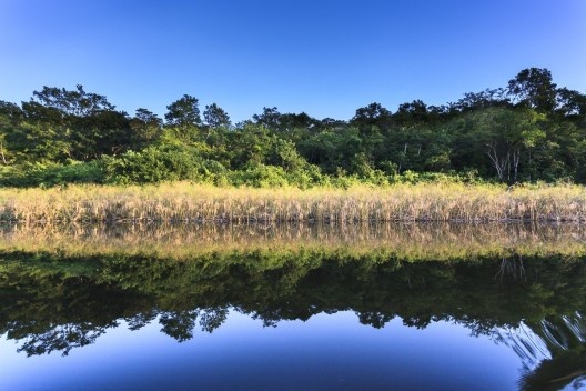 As águas calmas do Marimbus, o pantanal da Chapada Diamantina