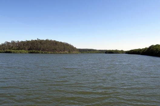 Rio Piraquêaçu com manguê e mata ao fundo