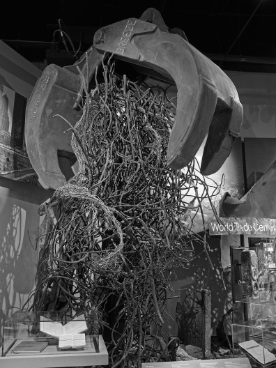 Photos by Andrew Moore